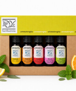 Aceites Esenciales Kit Composiciones