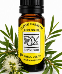 Aceite esencial ARBOL DEL TÉ 100% puro y natural Bio   (Melaleuca alternifolia)