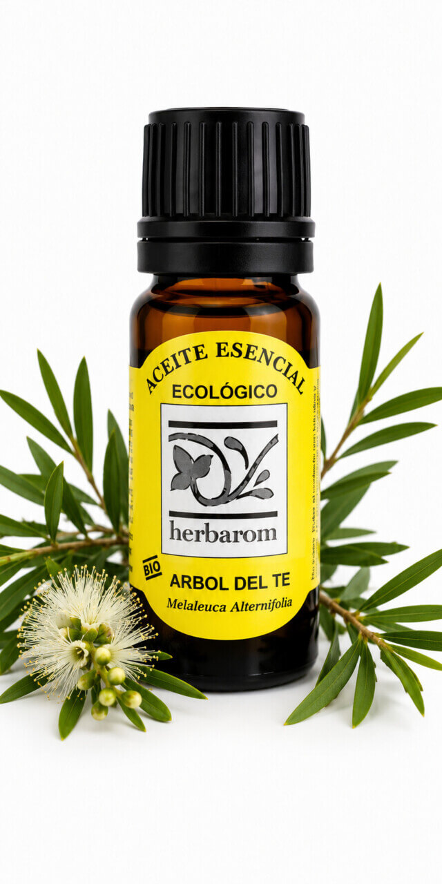 Aceite esencial ARBOL DEL TÉ 100% puro y natural Bio (Melaleuca alternifolia)