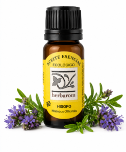 Aceite esencial  HISOPO 100% puro y natural  Bio   (Hyssopus officinalis)